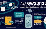 GW231123 Infographics
